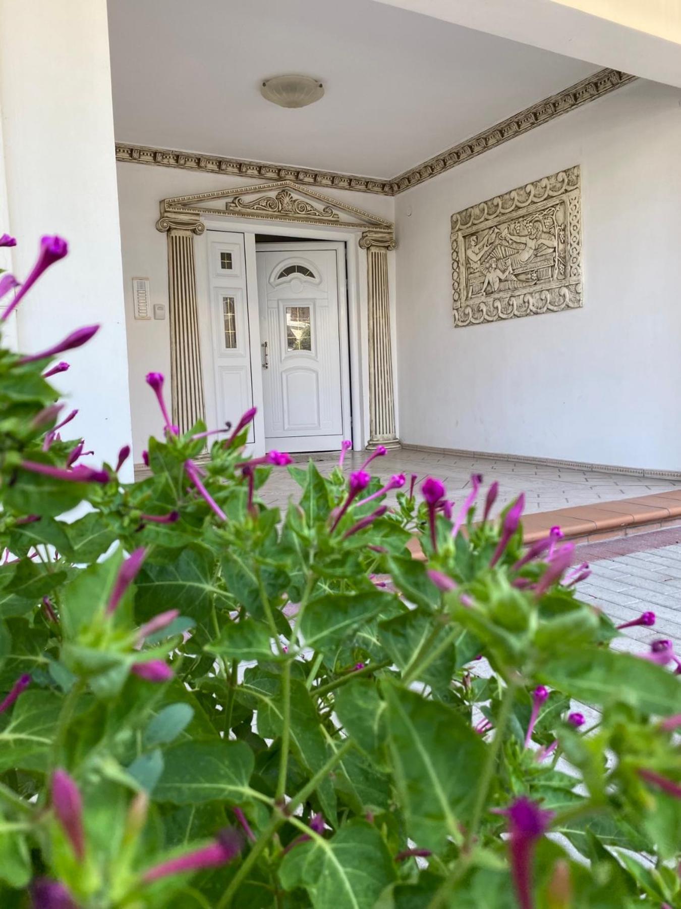 Roula Apartment Νέοι Πόροι Εξωτερικό φωτογραφία